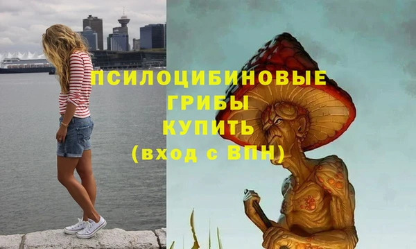 MESCALINE Кукмор