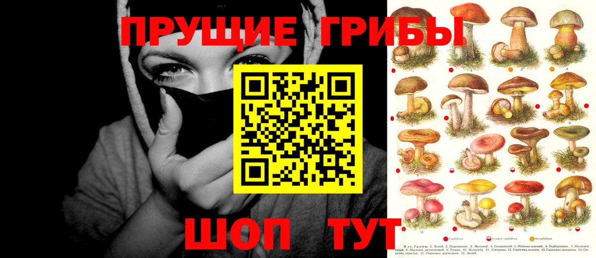 Галлюциногенные грибы Psilocybe  Вход с VPN  Мелеуз 
